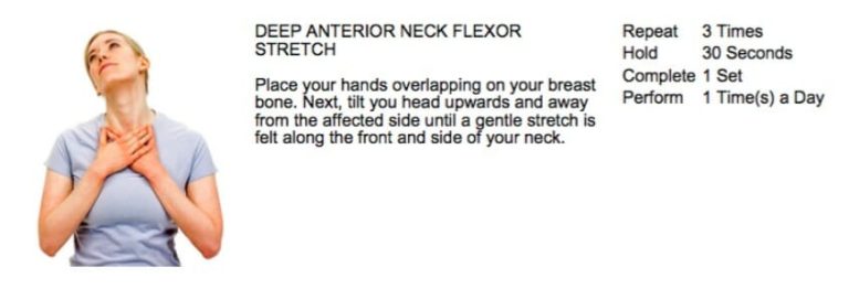 Chiropractor Is Crucial To Your Business. Learn Why!