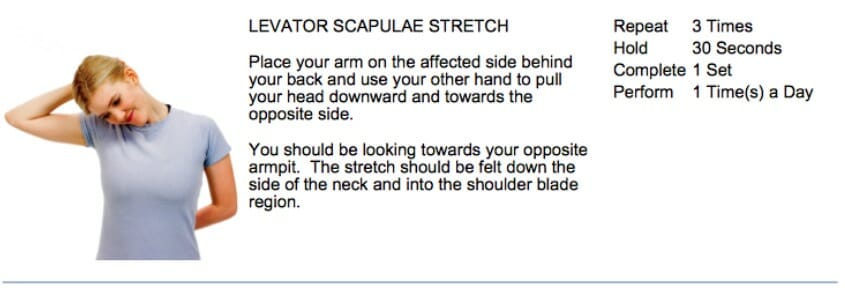 oakville chiropractor levator stretch