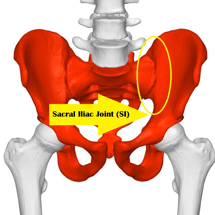 picture of si joint, with arrow going towards the inside of the hip